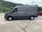 2025 Ford Transit Cargo Van Cargo Van