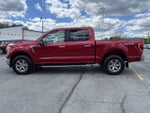 2021 Ford F-150 XLT CREW CAB